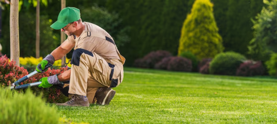 Wie Gartenpflege Ihnen hilft, einen gesunden und schönen Garten das ganze Jahr über zu erhalten